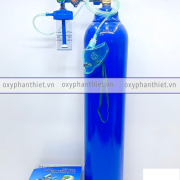 bình oxy y tế 10 lít phan thiết