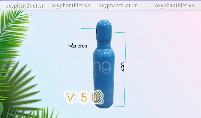 Bình Oxy Y Tế 5 Lít